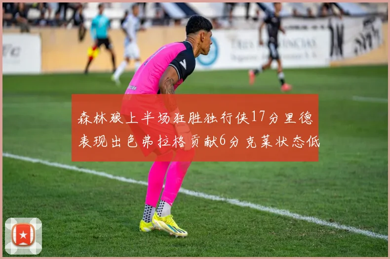 森林狼上半场狂胜独行侠17分里德表现出色弗拉格贡献6分克莱状态低迷未得分
