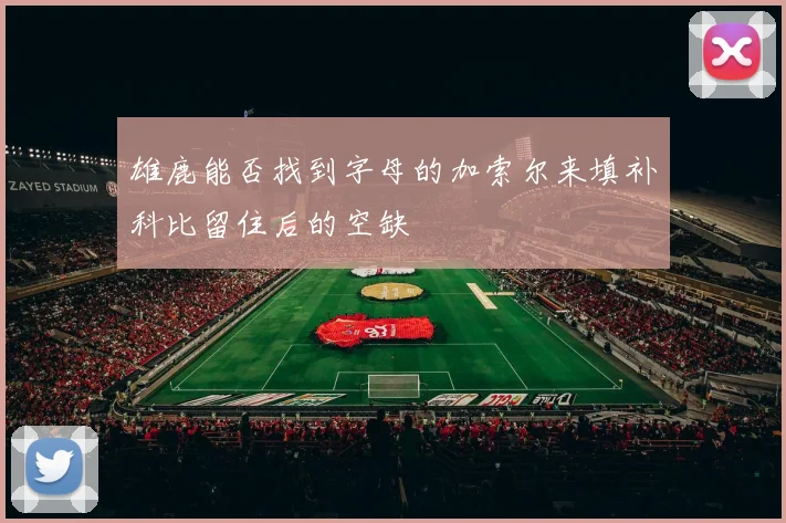 雄鹿能否找到字母的加索尔来填补科比留住后的空缺
