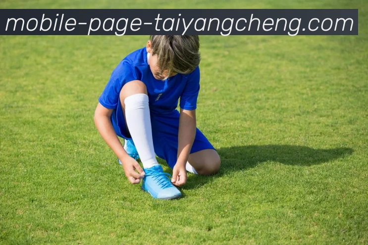 太阳城发展历程