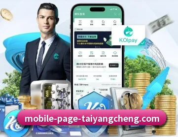 太阳城 APP 深度功能